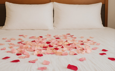 Rose petal bed 