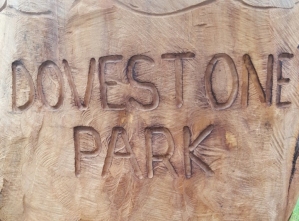 Dovestone Park carving 2